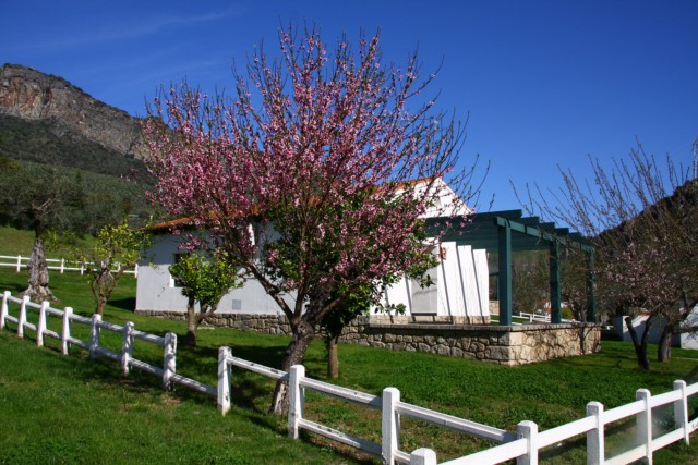 Centro De Ocio Y Turismo Rural Aldeaduero