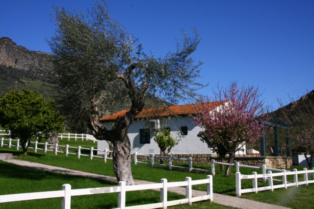 Centro De Ocio Y Turismo Rural Aldeaduero