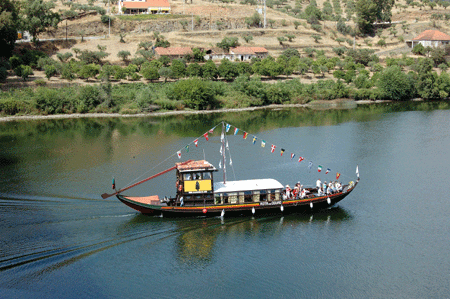Centro De Ocio Y Turismo Rural Aldeaduero