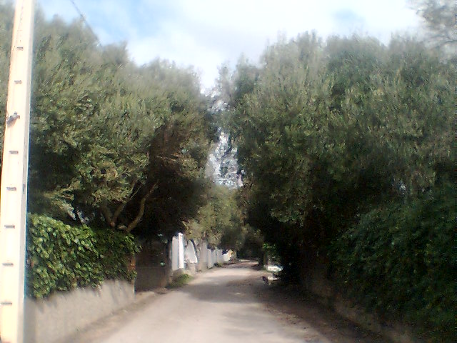 Casas Isabel