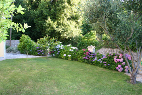 El Corral Del Acebo