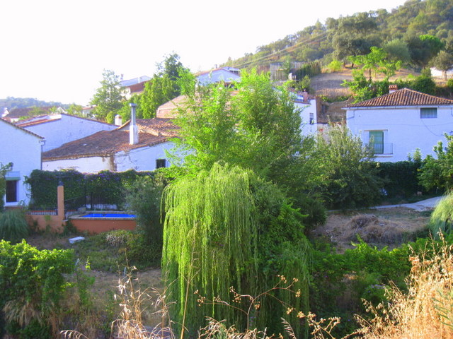 La Casa Del Buda De Barro