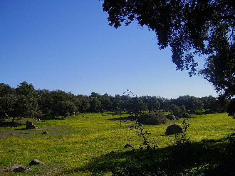 Casa Rural Las Perdices