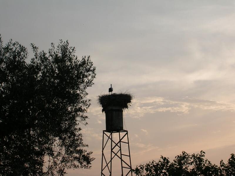 Cortijo Viña Del Duco