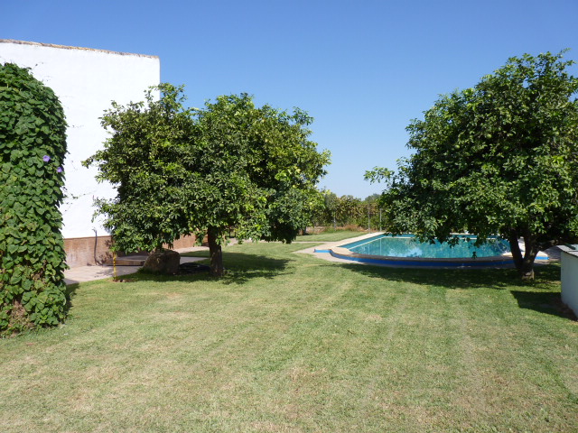 Finca Junquillo De San José