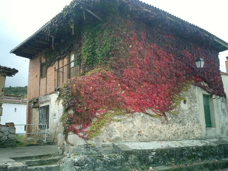 Cañón De Río Lobos I