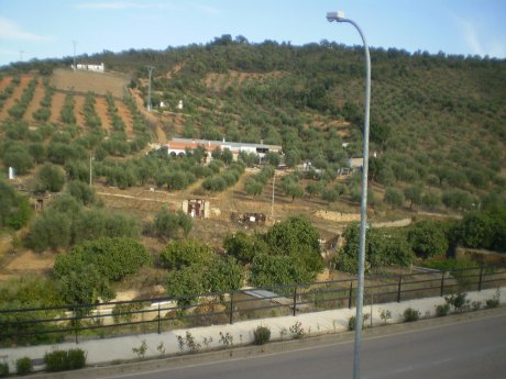 El Pozo
