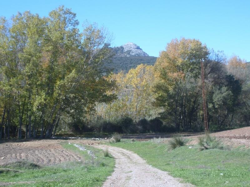 Cerro Limón