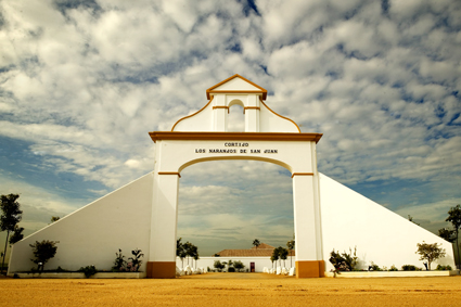 Los Naranjos De San Juan