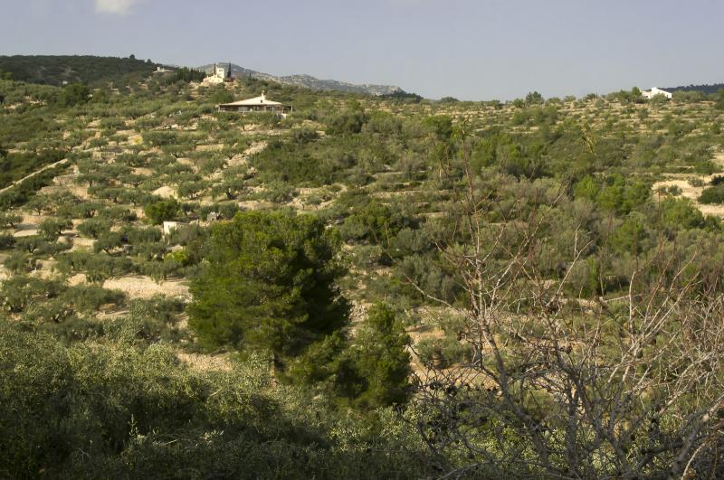Ecofinca Lo Favaret - Casa La Faeneta