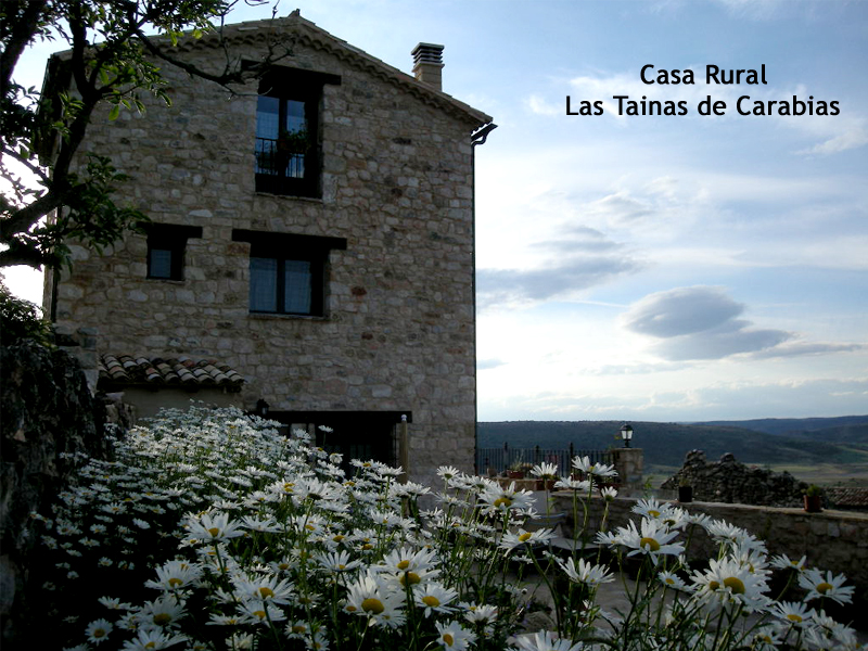 Casa Rural Las Tainas De Carabias