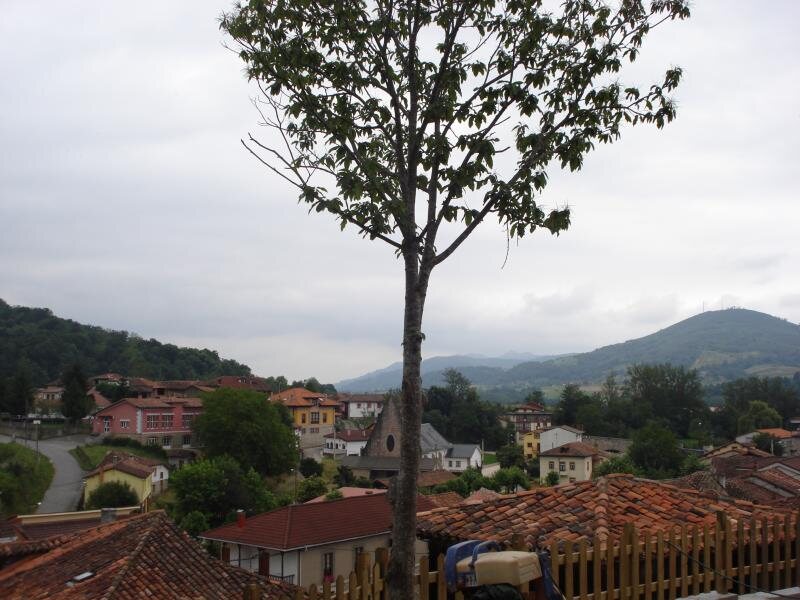 Apartamentos Rurales El Picoretu
