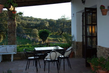 El Capirote