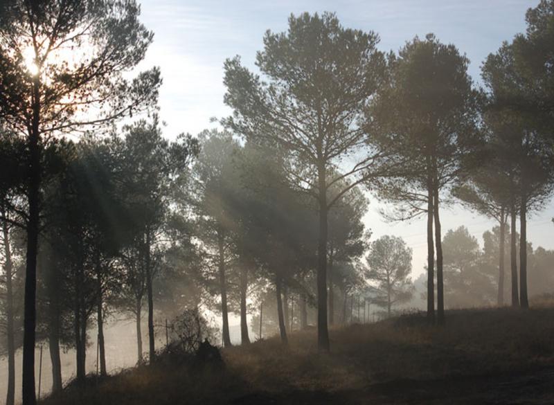 El Cerrete De Haro