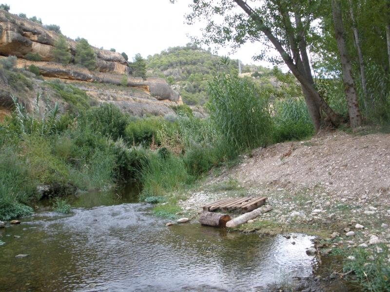 Hostal Restaurant els Tres Pins