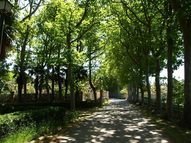 Casa Rural Gigantes De Navarra