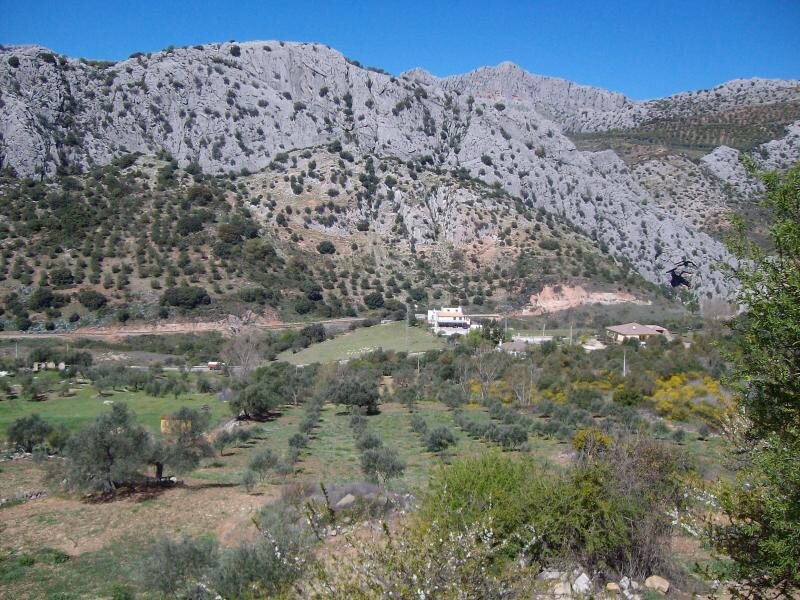 Cortijo La Bodega