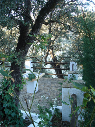 Molino Los Justos