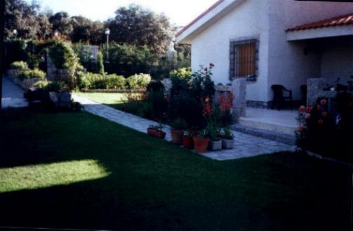 El Celemin