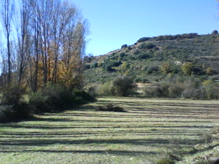 La Plaza
