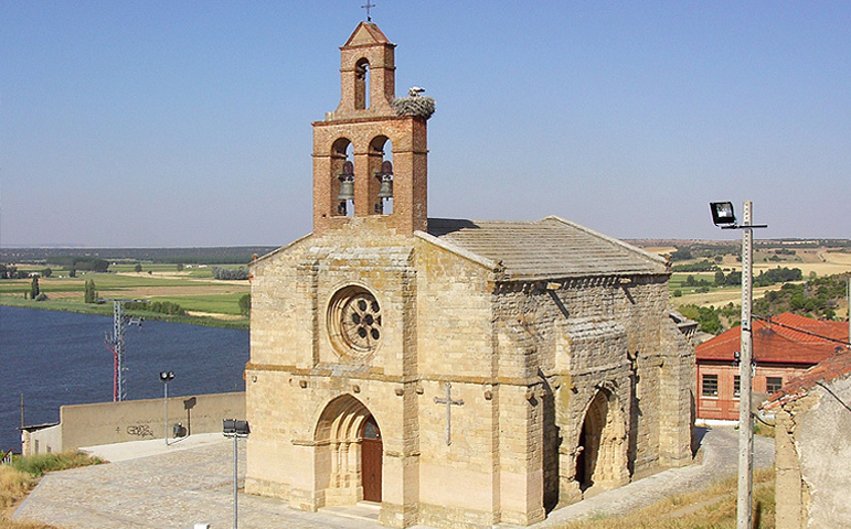Flor Del Duero