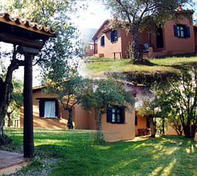 Aldea Vetonia