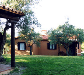 Aldea Vetonia
