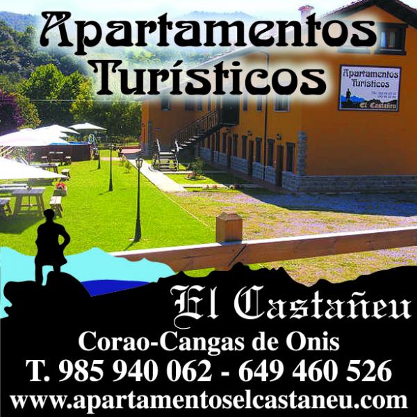 Apartamentos El Castañeu