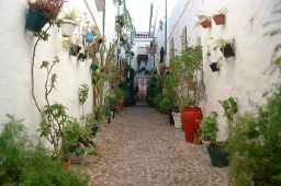 El Porton De La Villa