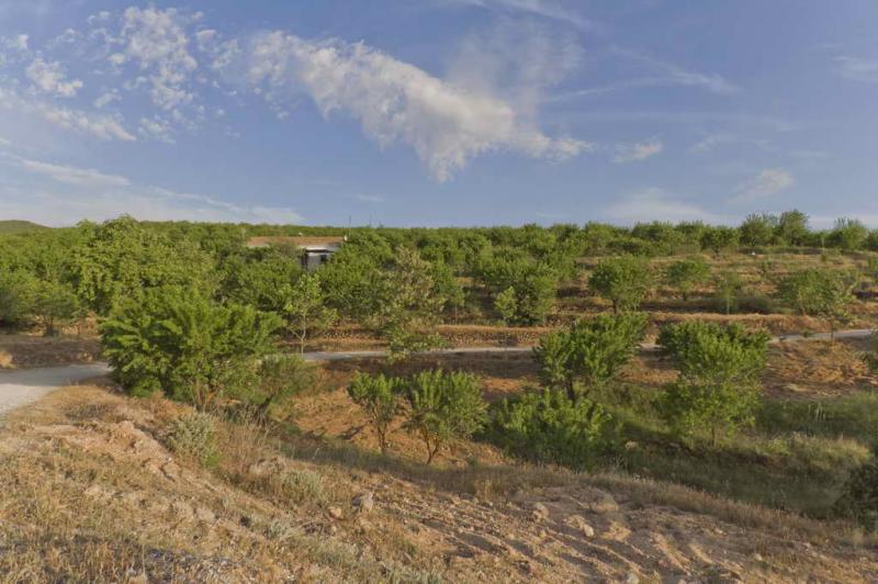 Cortijo Balzain