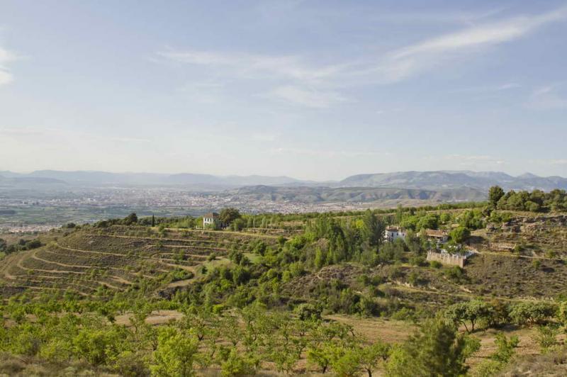 Cortijo Balzain