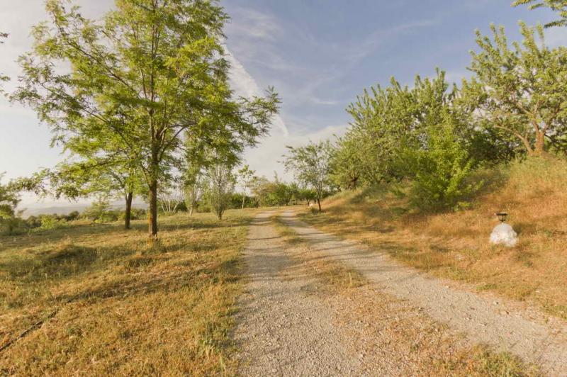 Cortijo Balzain