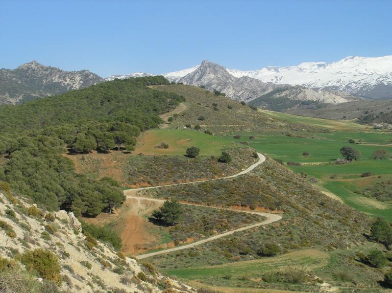Cortijo Balzain