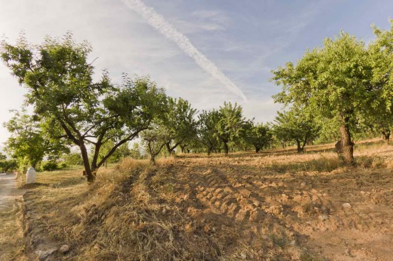 Cortijo Balzain