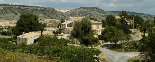Casa Pedriñán