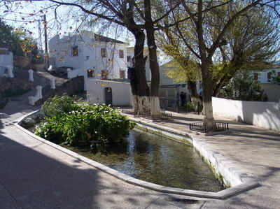 Sierra Alcaide