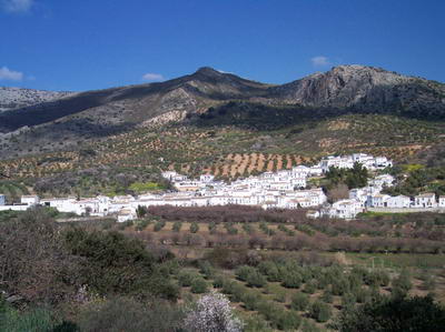 Sierra Alcaide