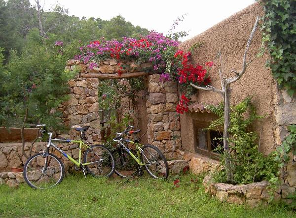 Casa Naya