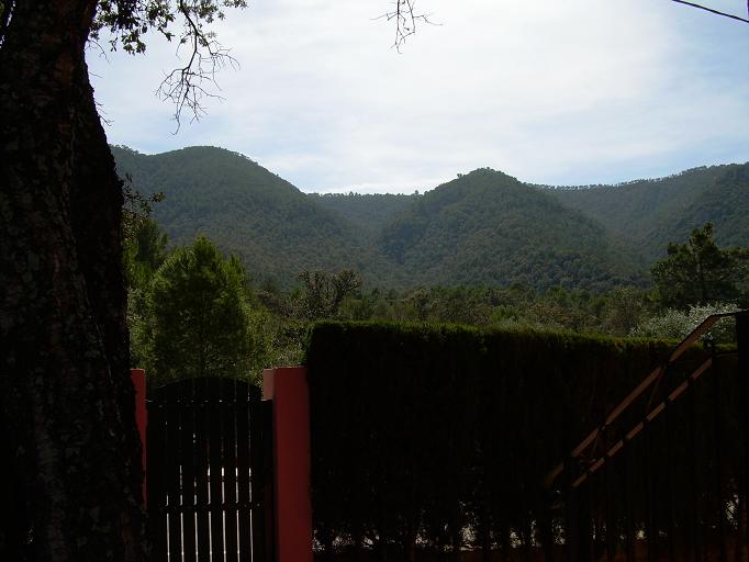 Ca Ximo