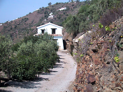 Finca Algarabia