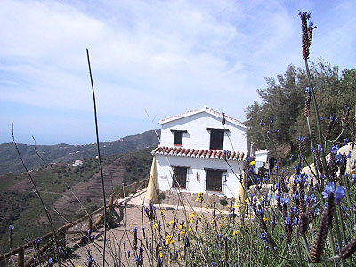 Finca Algarabia