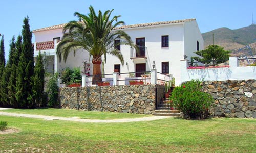 Lo Antonio Coronao