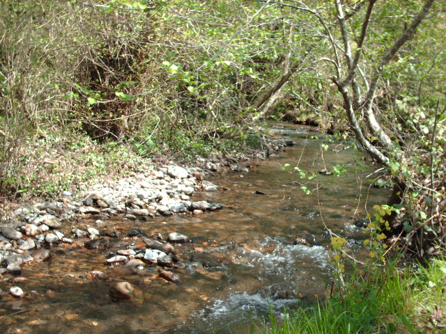 Juandiegorena I y II