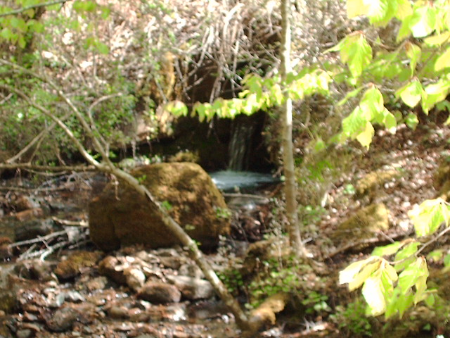 Juandiegorena I y II
