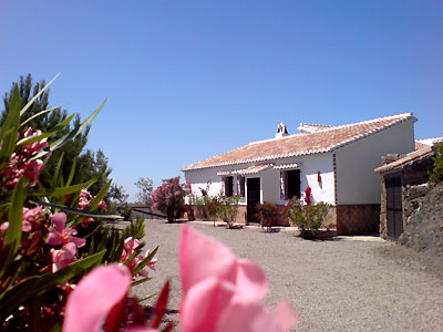 Finca Higueron