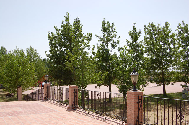 Casa Rural El Quijote