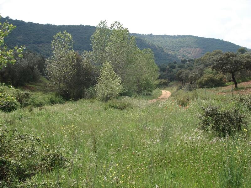Cortijo Navalon