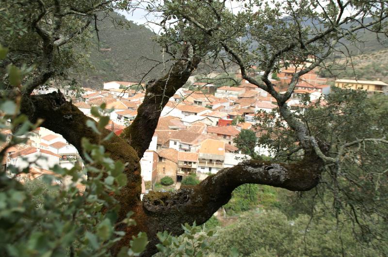huerto Tia Ajuliana