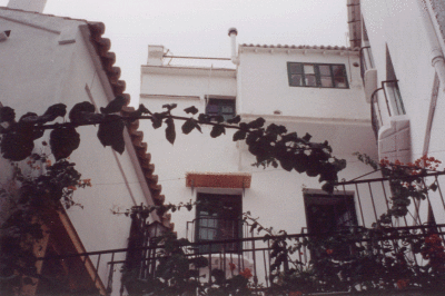 Casa Albero