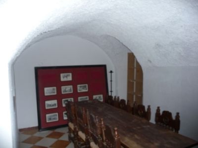 Casa Albero